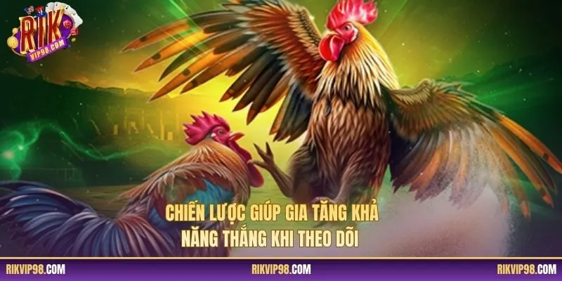 Chiến lược giúp gia tăng khả năng thắng khi theo dõi 
